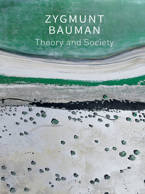 cover image of Theory and Society